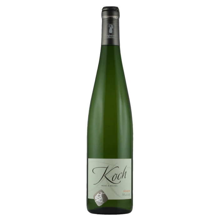 Domaine Koch Muscat - Accueil - sommellerie de France