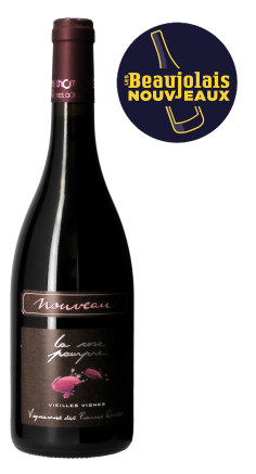 Beaujolais Nouveau La Rose Pourpre
